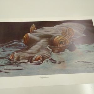 Hippopotamus By Harold Rigsby 132/200 Signed